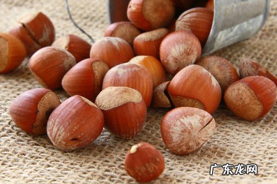 橡果和榛子的区别