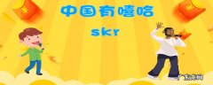 skr什么意思