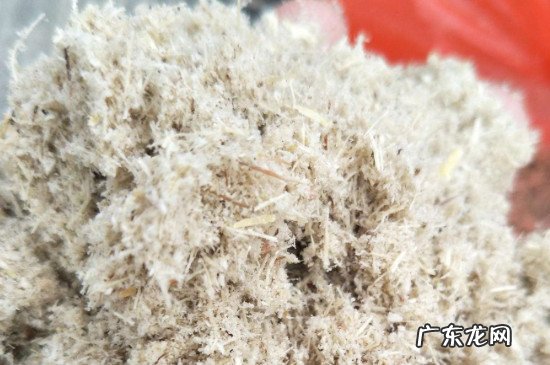 甘蔗渣属于哪类垃圾