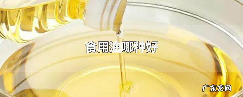 食用油哪种好