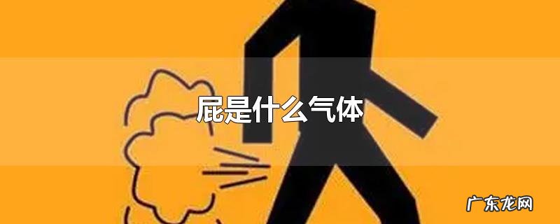 屁是什么气体