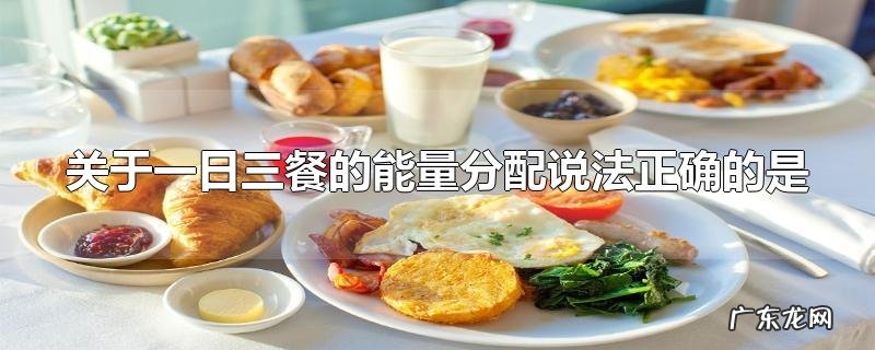 关于一日三餐的能量分配说法正确的是