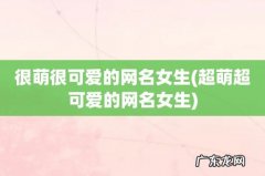 超萌超可爱的网名女生 很萌很可爱的网名女生