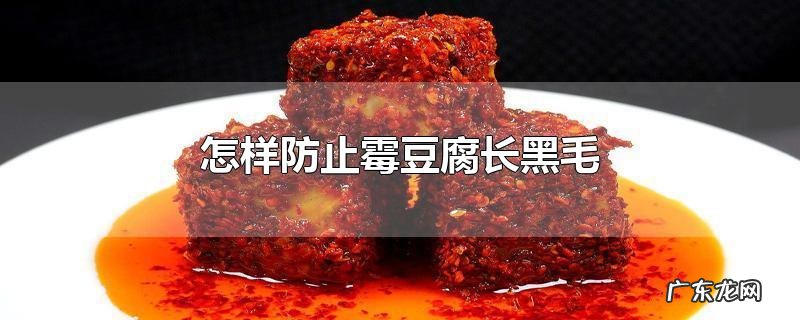 怎样防止霉豆腐长黑毛