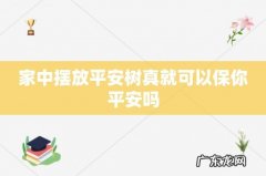 家中摆放平安树真就可以保你平安吗