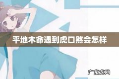 平地木命遇到虎口煞会怎样
