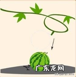 2345678打一个成语 2345678 打一成语