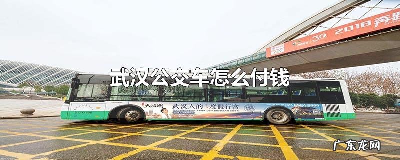 武汉公交车怎么付钱