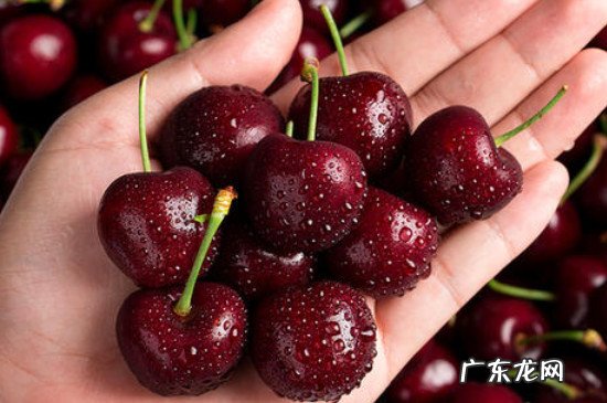 车厘子跟草莓能一起吃吗