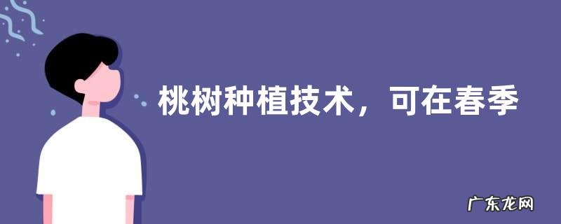 桃树种植技术,可在春季或者秋季栽种