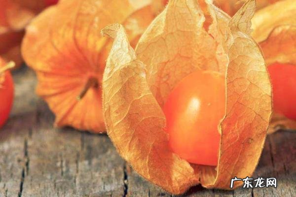 含羞果种植技术,及时做好病害防治工作