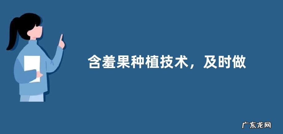 含羞果种植技术,及时做好病害防治工作
