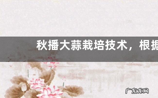 秋播大蒜栽培技术,根据种植地调整播种时间