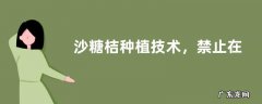 沙糖桔种植技术，禁止在沙糖桔园区种植玉米、小麦等高杆作物