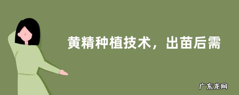 黄精种植技术，出苗后需定期做好肥水和防强光工作