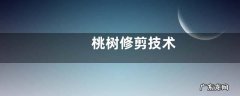 桃树修剪技术