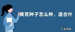 黄芪种子怎么种，适合什么时候种植？