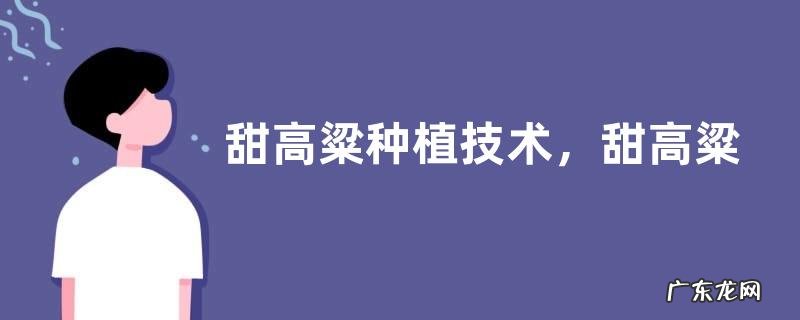 甜高粱种植技术，甜高粱对土地要求不高