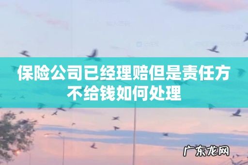 保险公司已经理赔但是责任方不给钱如何处理