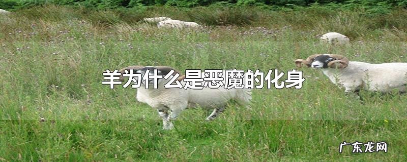 羊为什么是恶魔的化身