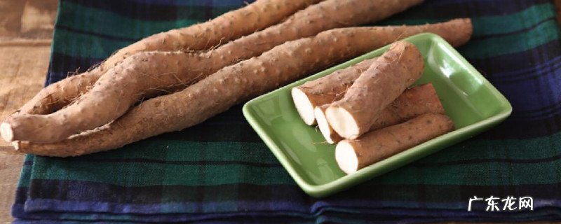 铁棍山药煮多久熟