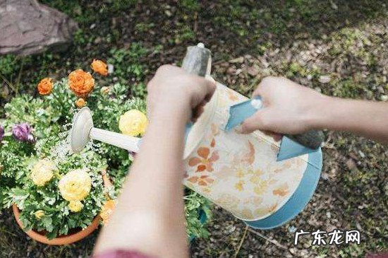 真空大米漏气还能吃吗