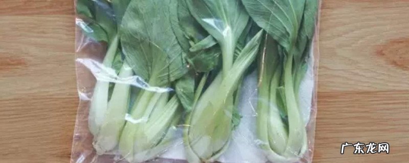 买的菜怎么保持新鲜