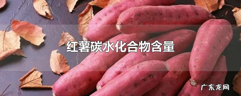 红薯碳水化合物含量