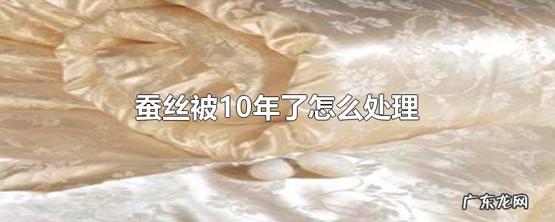 蚕丝被10年了怎么处理