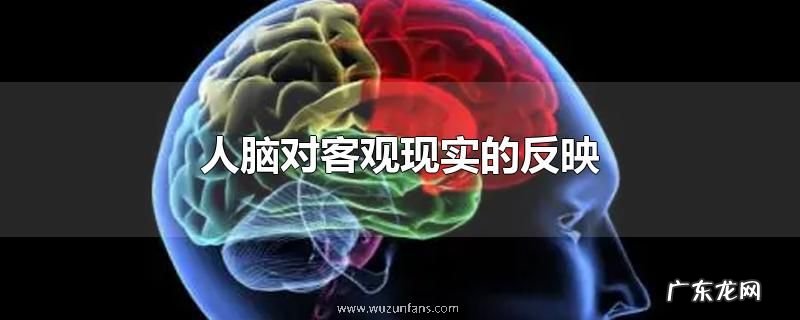 人脑对客观现实的反映