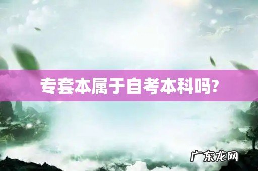 专套本属于自考本科吗?