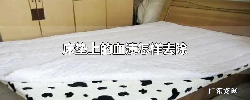 床垫上的血渍怎样去除
