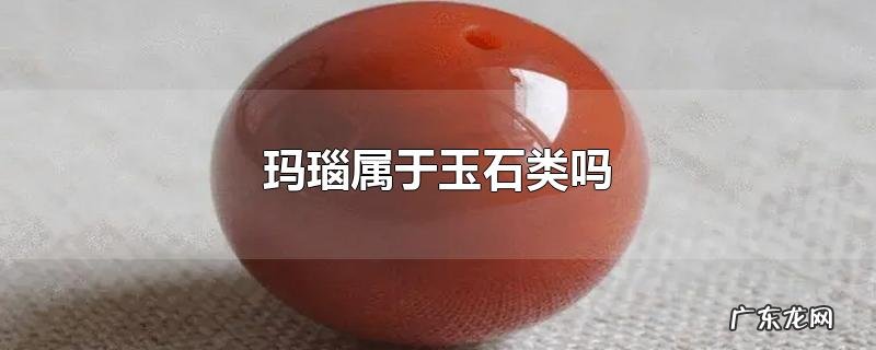 玛瑙属于玉石类吗