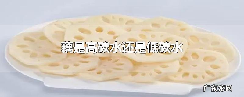 藕是高碳水还是低碳水