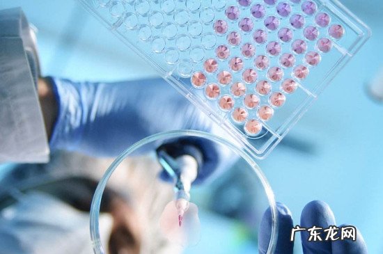 肺炎属于什么病毒