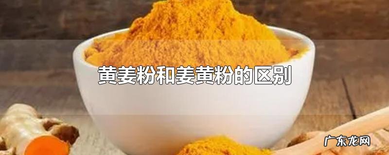 黄姜粉和姜黄粉的区别