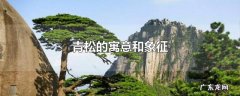 青松的寓意和象征