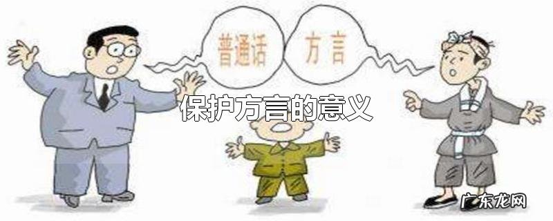 保护方言的意义