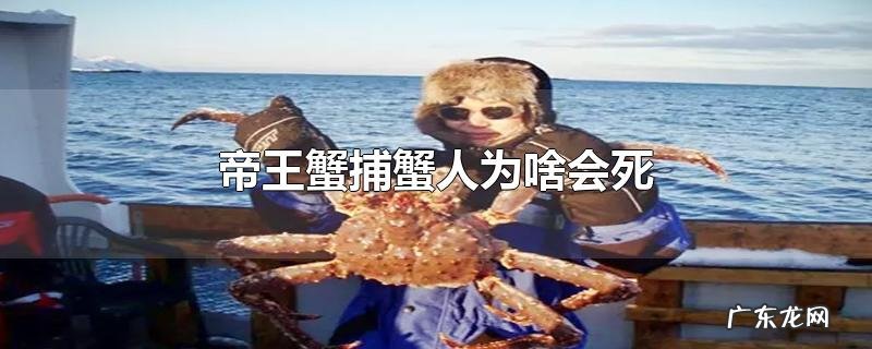 帝王蟹捕蟹人为啥会死