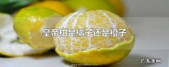 皇帝柑是橘子还是橙子