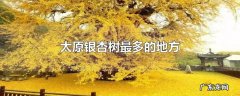 太原银杏树最多的地方