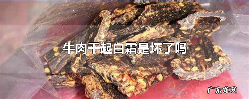牛肉干起白霜是坏了吗