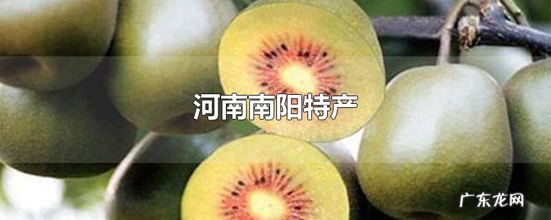 河南南阳特产