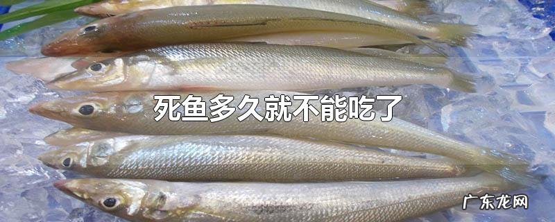 死鱼多久就不能吃了