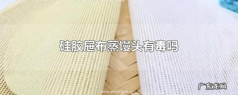 硅胶屉布蒸馒头有毒吗