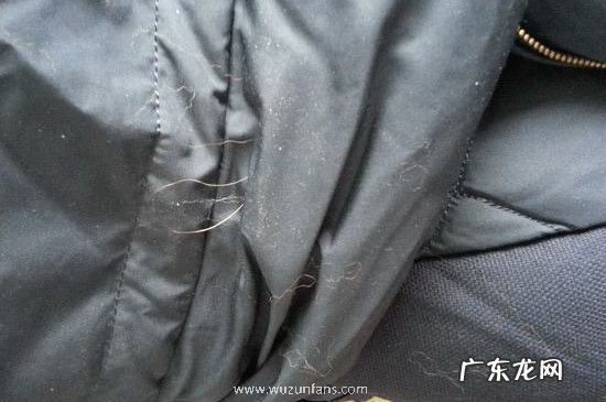羽绒服从针眼钻毛妙招