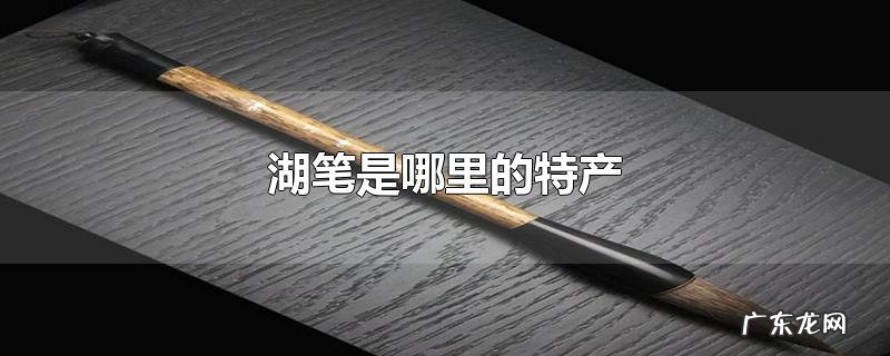 湖笔是哪里的特产