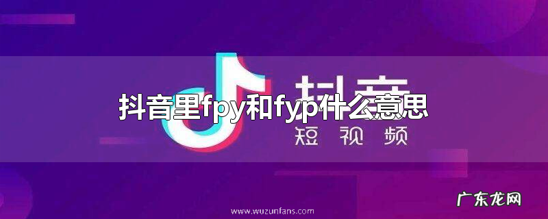 抖音里fpy和fyp什么意思