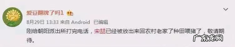 宋喆前妻杨慧现在干什么工作 宋哲杨慧