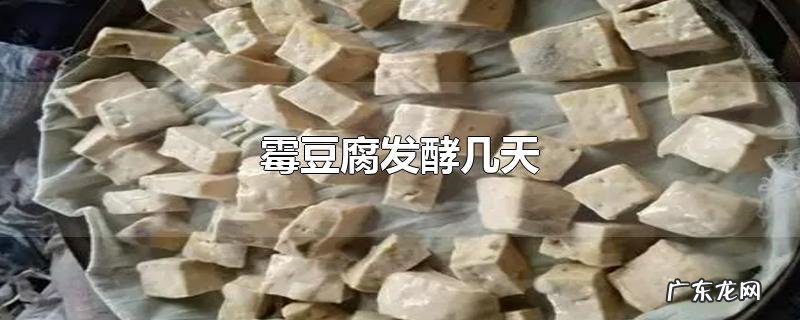 霉豆腐发酵几天